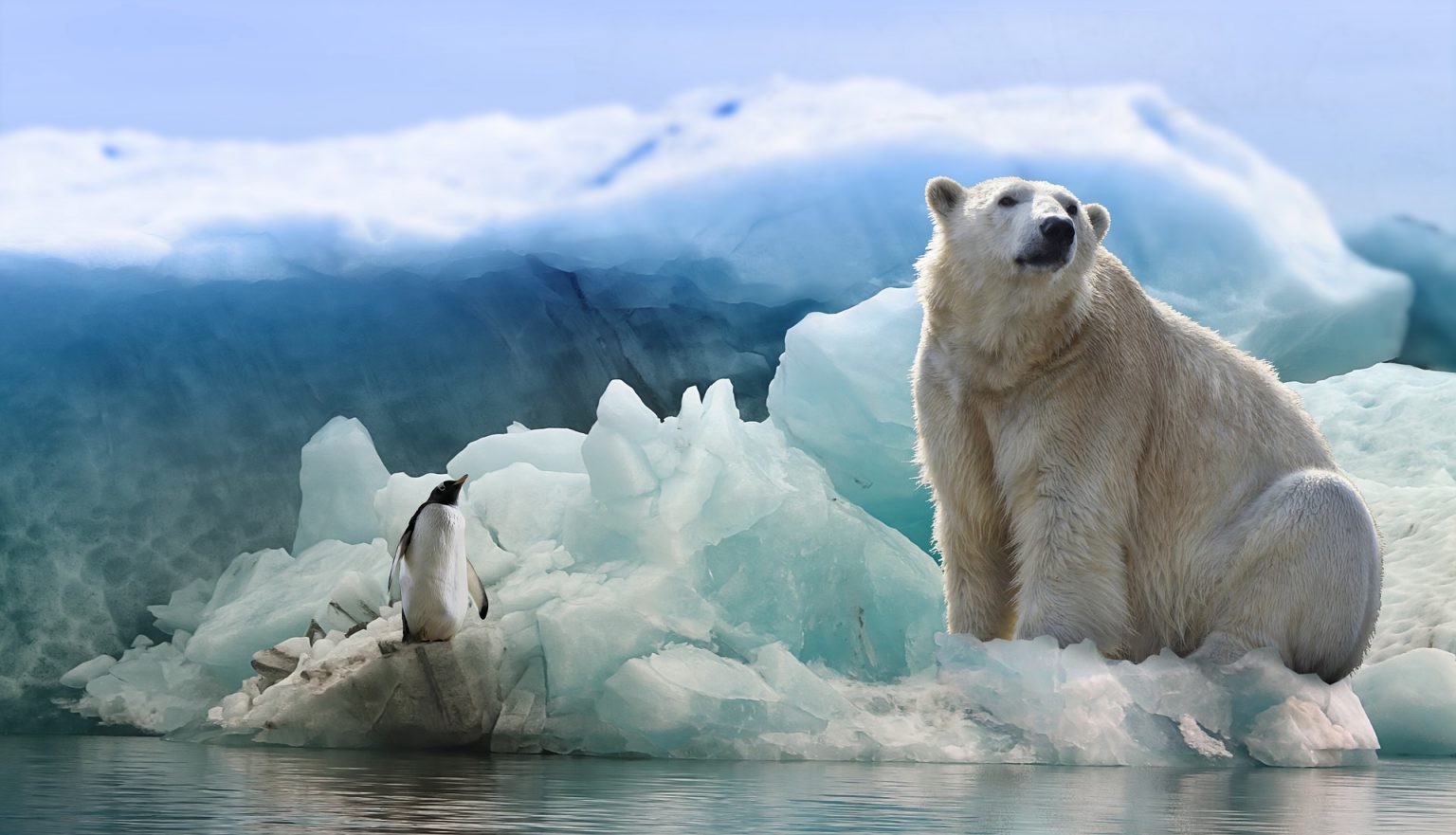 Eisbär und Pinguin Spiel Alpenvereinsjugend