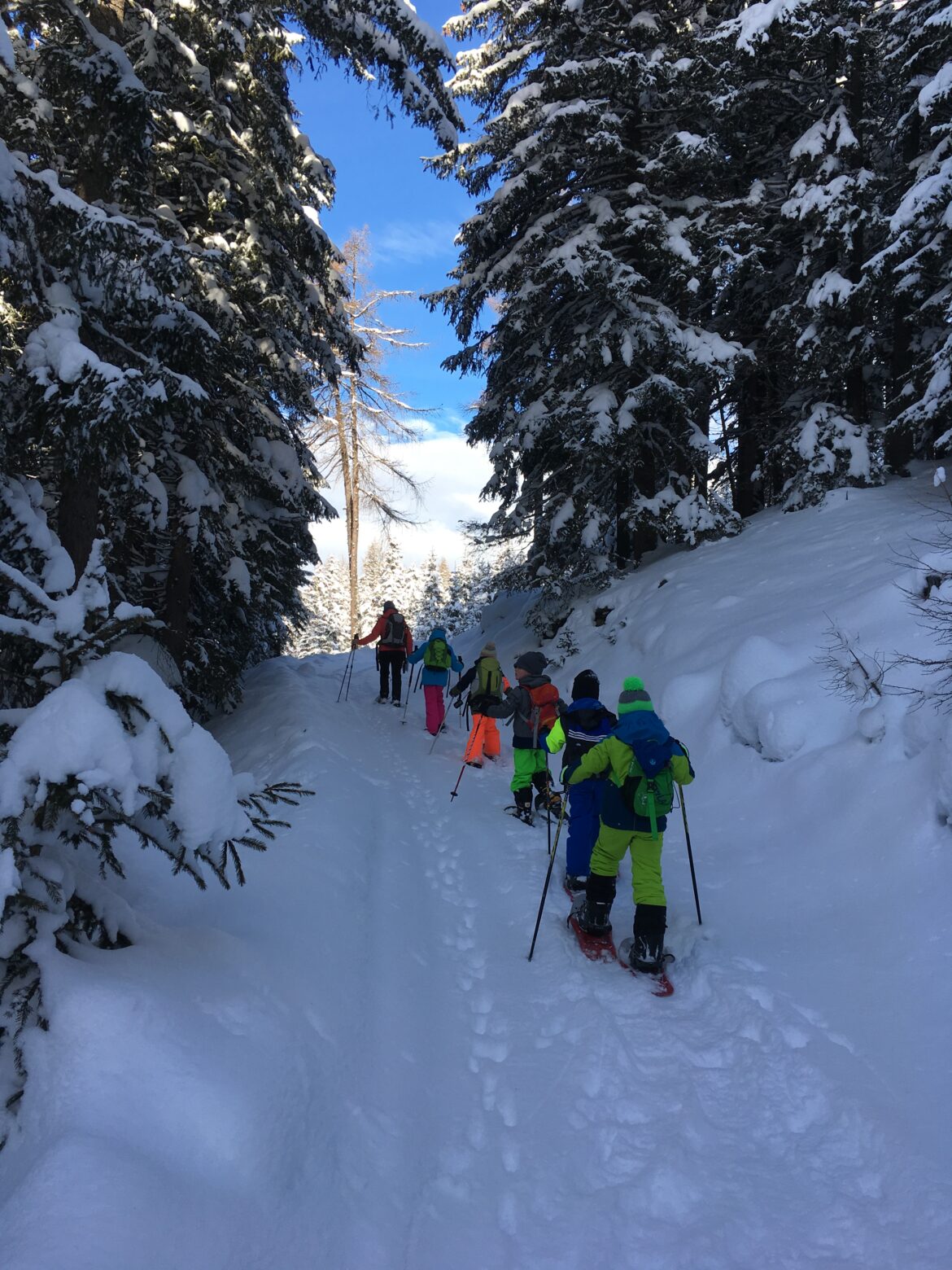 Schneeschuhwandern